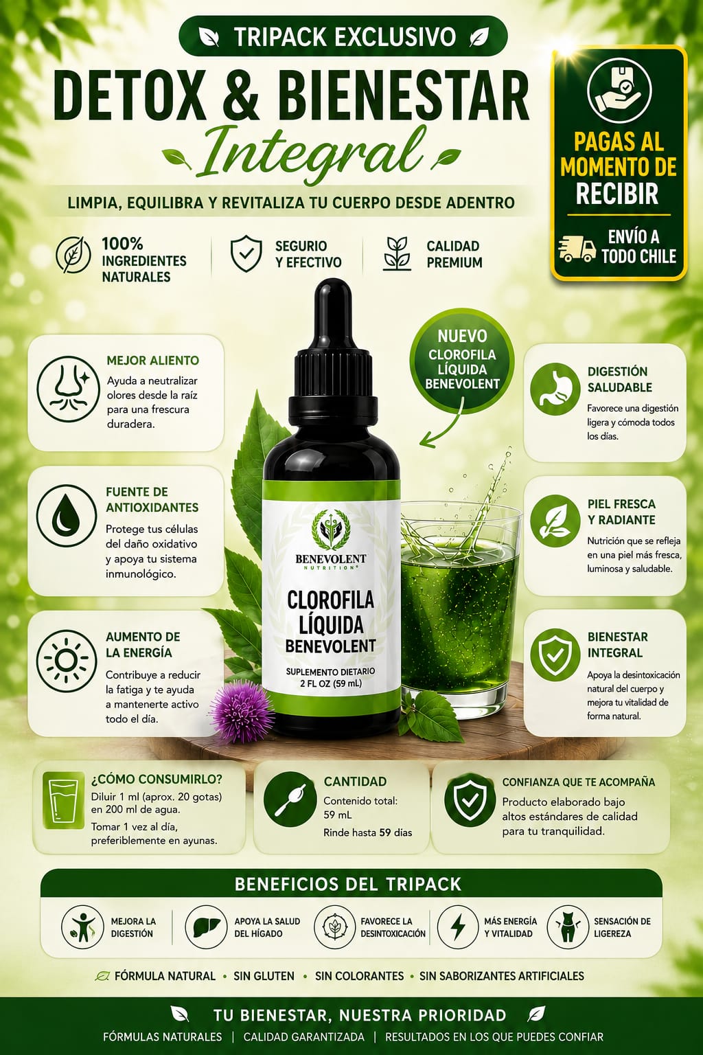 TRIPACK PREMIUM DETOX  Equilibrio Digestivo • Apoyo Hepático • Energía Natural