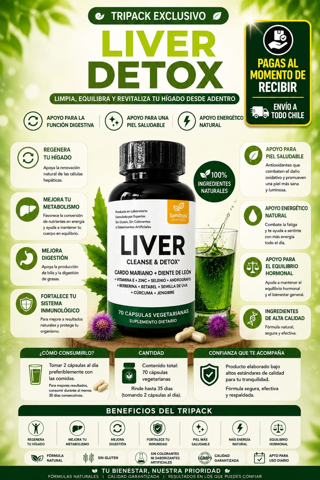 TRIPACK PREMIUM DETOX  Equilibrio Digestivo • Apoyo Hepático • Energía Natural